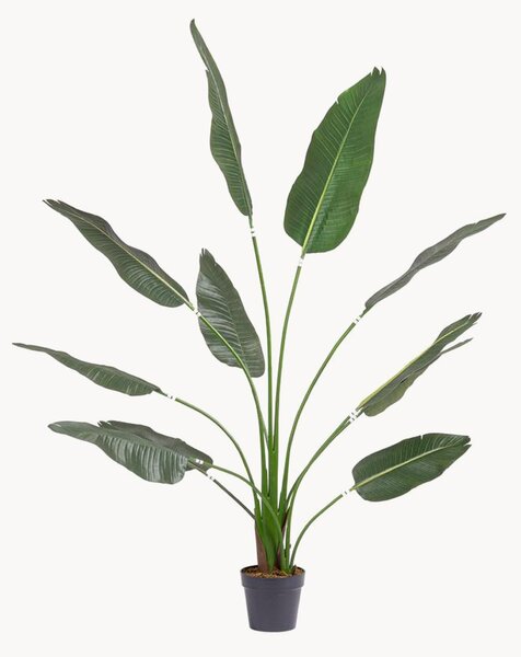 Exteriérová umělá rostlina Strelitzia