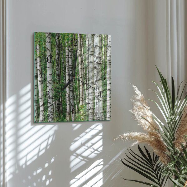 Skleněné hodiny na stěnu Břízy zskc-30x30-00176404