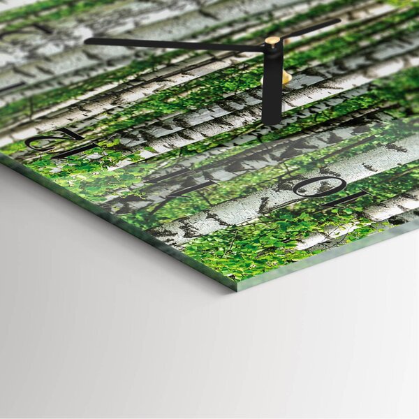 Skleněné hodiny na stěnu Břízy zskc-30x30-00176404