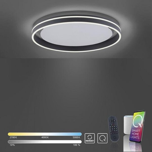 PAULNEUHAUS Q-VITO, LED stropní svítidlo, Smart Home, průměr 59cm ZigBee 2700-5000K - PAUL NEUHAUS