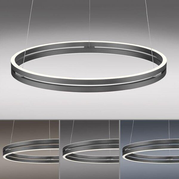 Paul Neuhaus Závěsné LED svítidlo PURE E-Loop, 53W, ø 70,1 cm, 2700-5000K, elektricky nastavitelná výška Barva: Mystická šedá