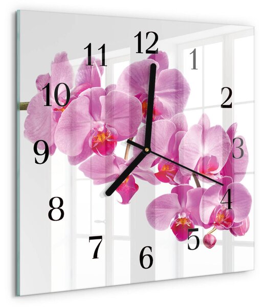 Skleněné hodiny na stěnu Orchidej zskc-30x30-00176687