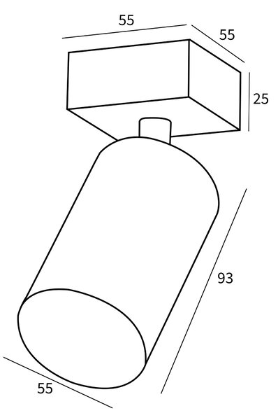 Immax PUNTO-1 stropní, nástěnné, bodové svítidlo pro zdroj typu GU10