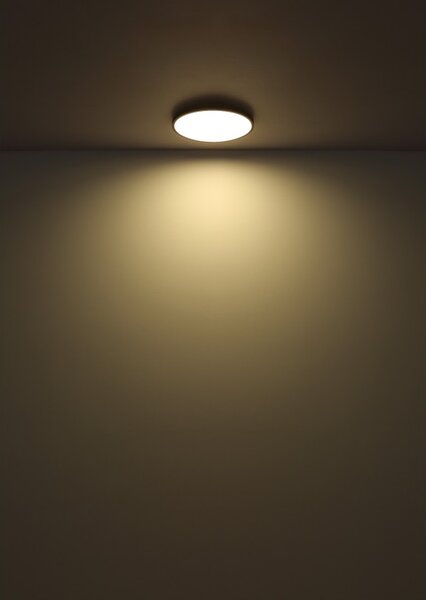 Globo NIELSEN 41566-32W LED přisazené stropní svítidlo | 32W LED | 1300lm | 4000K
