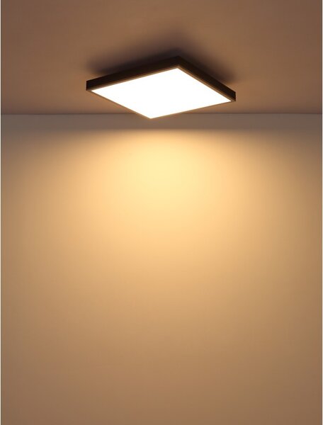 Globo DORO 416080AD2 LED přisazené stropní svítidlo | 24W LED | 1200lm | 3000K
