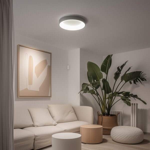 Brilagi - LED Stmívatelné stropní svítidlo LED/40W/230V 3000-6500K šedá + DO