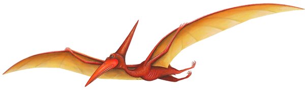 Samolepky dinosauři - Samolepící dekorace Pterodactyl