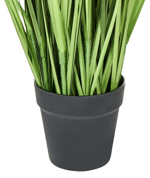 Umělá rostlina PAMPAS GRASS 130 cm Zelená