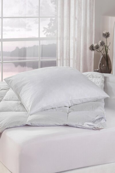 POLŠTÁŘ, 70/90 cm Sleeptex - Polštáře pod hlavu