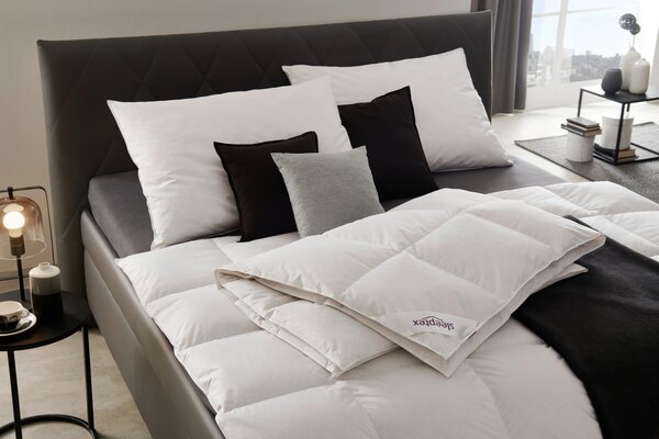 POLŠTÁŘ, 70/90 cm Sleeptex - Polštáře pod hlavu