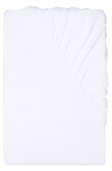 Livarno® Žerzejové napínací prostěradlo, 140–160 x 200 cm (bílá) (100407793003)