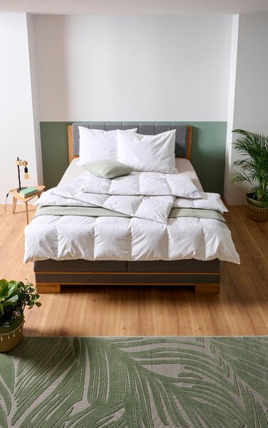 CELOROČNÍ PŘIKRÝVKA, 140/200 cm, peří, prachové peří Sleeptex - Přikrývky