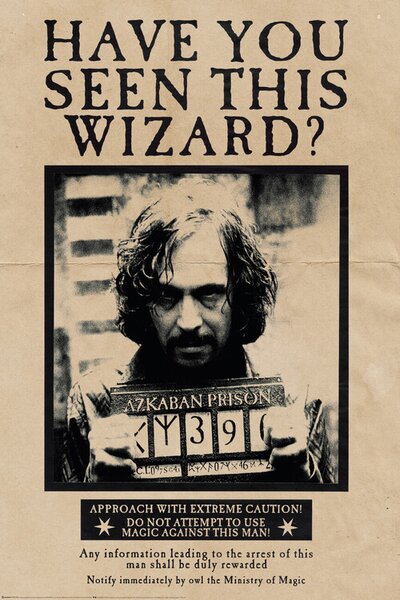 Plakát, Obraz - Harry Potter - Sirius Black