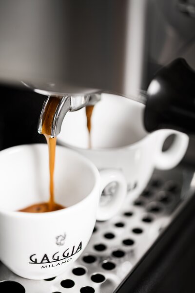 Gaggia Classic E24