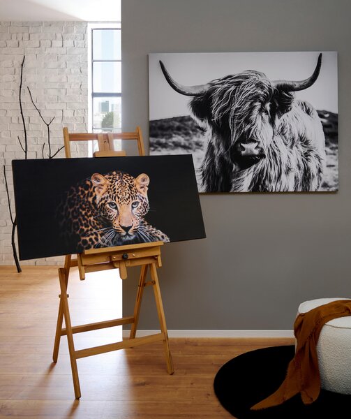 MALBA NA PLÁTNĚ, zvířata, 135/100/3 cm Euroart - Obrazy na plátně