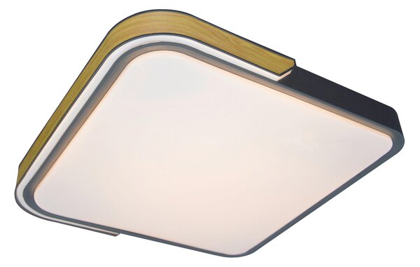 STROPNÍ LED SVÍTIDLO, 42/8,5/42 cm Rabalux - Stropní svítidla