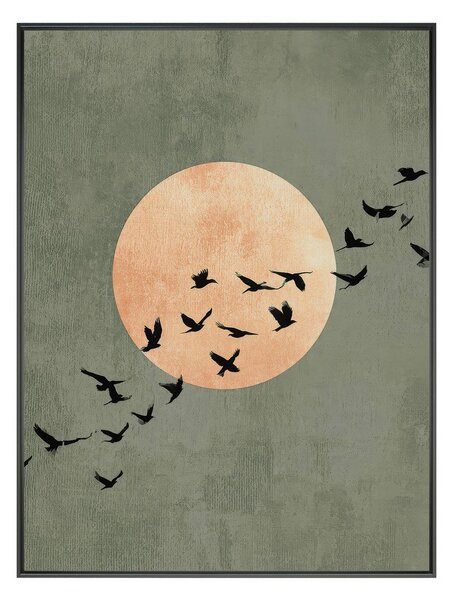 Tištěný obraz s rámem 60x80 cm Midnight Flight – Styler