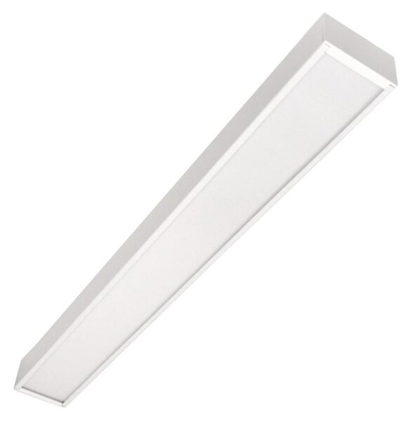 LED Stropní přisazené závěsné svítidlo CYNIDECO LED/12W/230V 4000K bílá