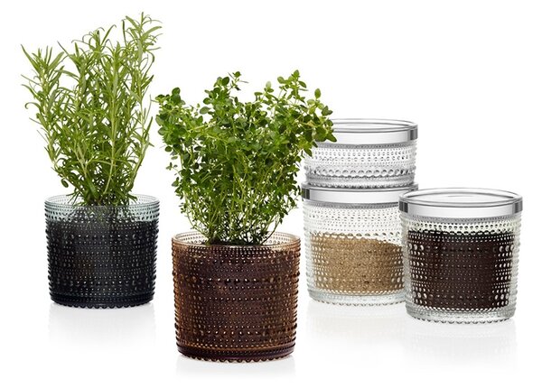 Iittala Dóza Kastehelmi, velká / čirá