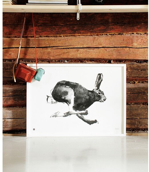 Teemu Järvi Plakát Mountain Hare 70x50