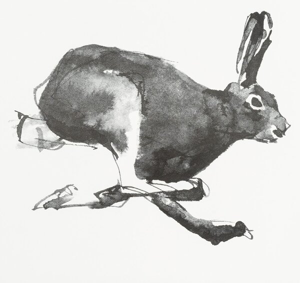 Teemu Järvi Plakát Mountain Hare 70x50