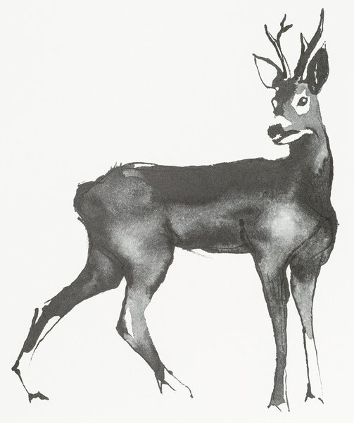 Teemu Järvi Plakát Roe Deer 50x70