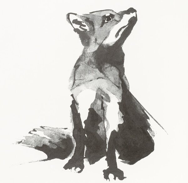 Teemu Järvi Plakát s motivem lišky Red Fox 50x70
