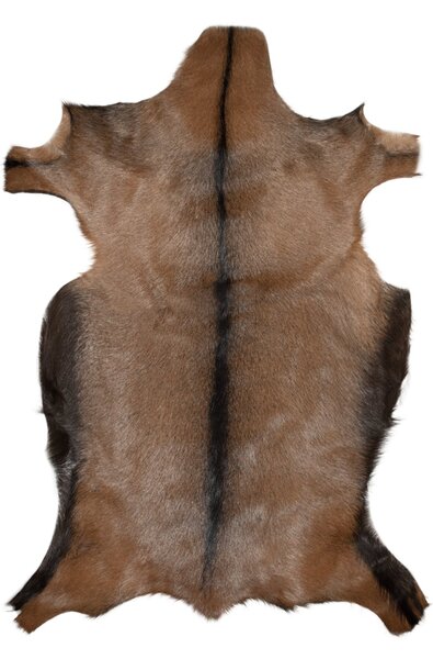 ARCTIC FUR Kozí kůže ALPINO velká 100% příroda