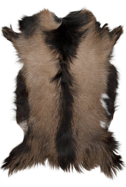 ARCTIC FUR Kozí kůže ALPINO velká 100% příroda