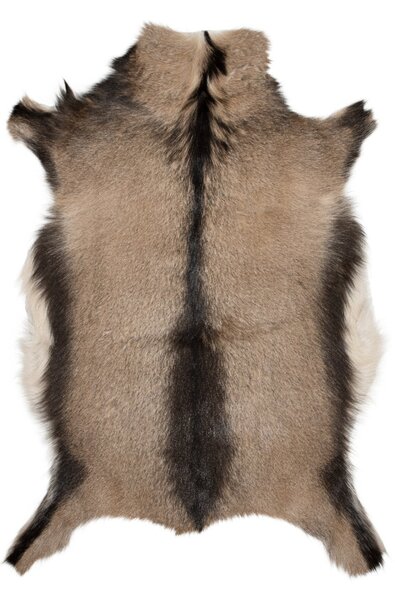 ARCTIC FUR Kozí kůže ALPINO velká 100% příroda