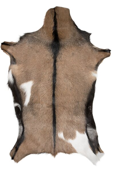 ARCTIC FUR Kozí kůže ALPINO velká 100% příroda