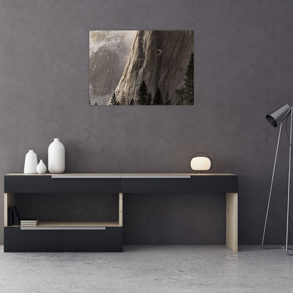Obraz z údolí Yosemite národní parku, USA (70x50 cm)