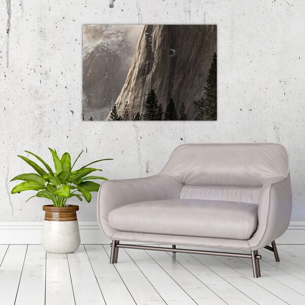 Obraz z údolí Yosemite národní parku, USA (70x50 cm)
