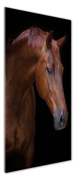 Foto obraz sklo tvrzené Portrét koně pl-osh-50x125-f-114030424
