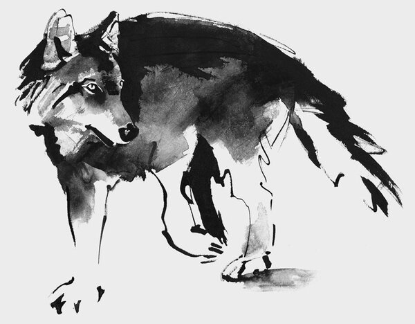 Teemu Järvi Plakát Wolf 70x50