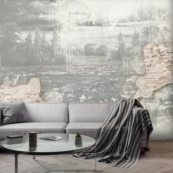 Fototapeta - Louka v betonové zdi - černobílá (245x170 cm)