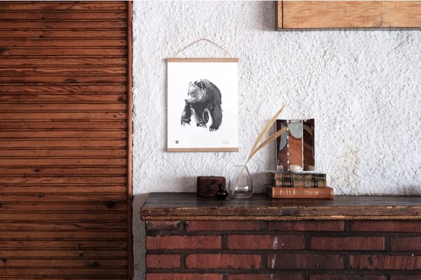 Teemu Järvi Plakát Gentle Bear 50x70