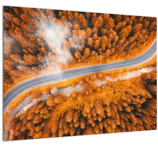 Obraz - Horská silnice (70x50 cm)