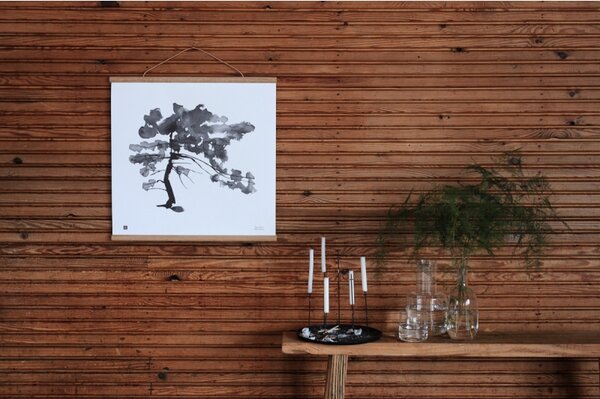 Teemu Järvi Plakát Pine Tree 50x50