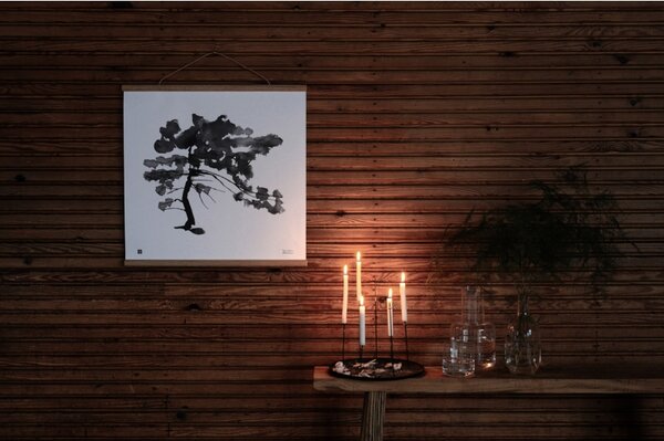 Teemu Järvi Plakát Pine Tree 50x50