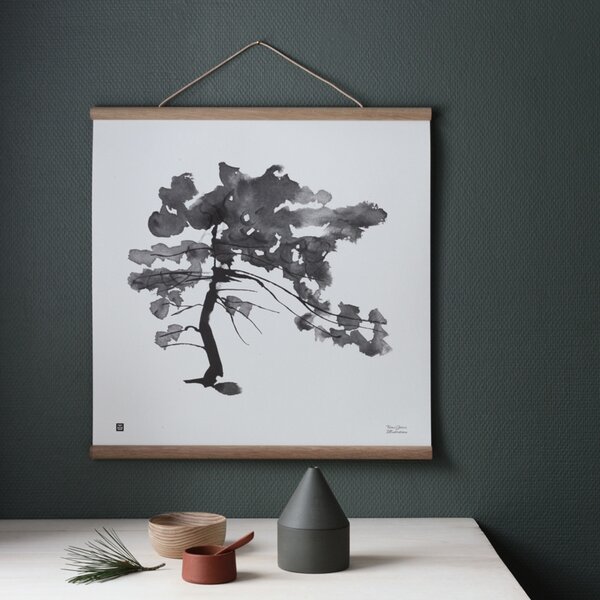 Teemu Järvi Plakát Pine Tree 50x50