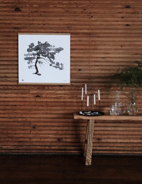 Teemu Järvi Plakát Pine Tree 50x50