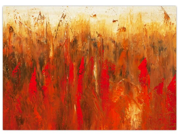 Obraz malované abstrakce (70x50 cm)