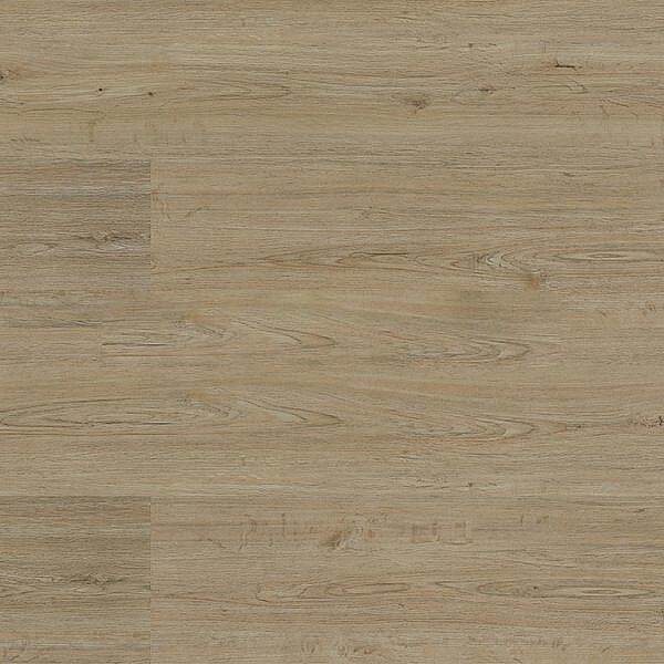 EXPERTO SPC 30 Dub forte 6111-18 - 2.21 m2