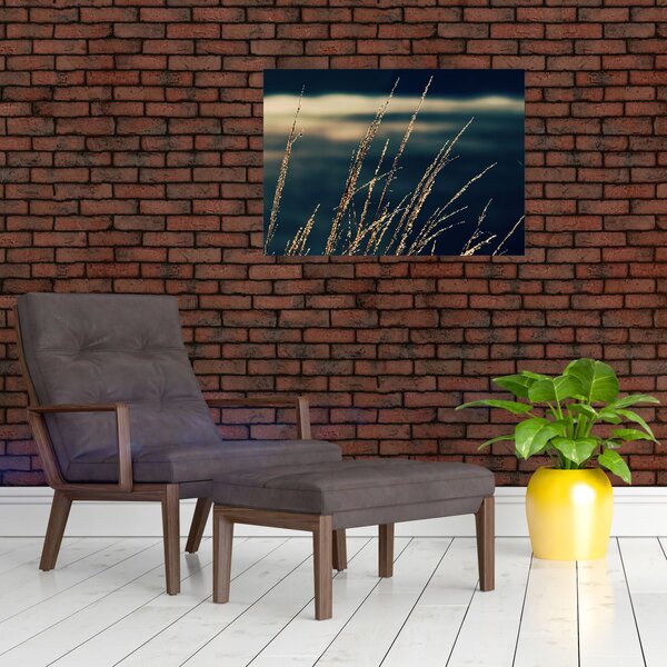 Obraz travin (70x50 cm)
