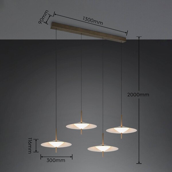 Trio Lighting LED závěsné světlo Amalo v platinové barvě, délka 146 cm, 4 žárovky, stmívatelný, Hliník / šedá / zinek, Obývací pokoj / jídelna, kov, Moderní