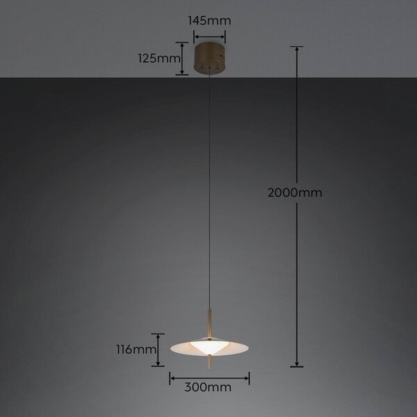 Trio Lighting Závěsné světlo Amalo, platinová barva, Ø 30 cm, kov,, stmívatelný, Hliník / šedá / zinek, Obývací pokoj / jídelna, kov, Moderní