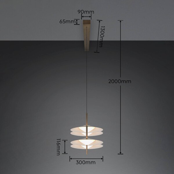 Trio Lighting LED závěsné světlo Amalo v platinové barvě, délka 146 cm, 4 žárovky, stmívatelný, Hliník / šedá / zinek, Obývací pokoj / jídelna, kov, Moderní