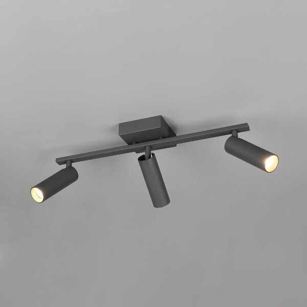 Trio Lighting Stropní bodové světlo Dara, délka 46 cm, antracitová barva, kov, 3ramenný, Černá, Obývací pokoj / jídelna, kov, Moderní