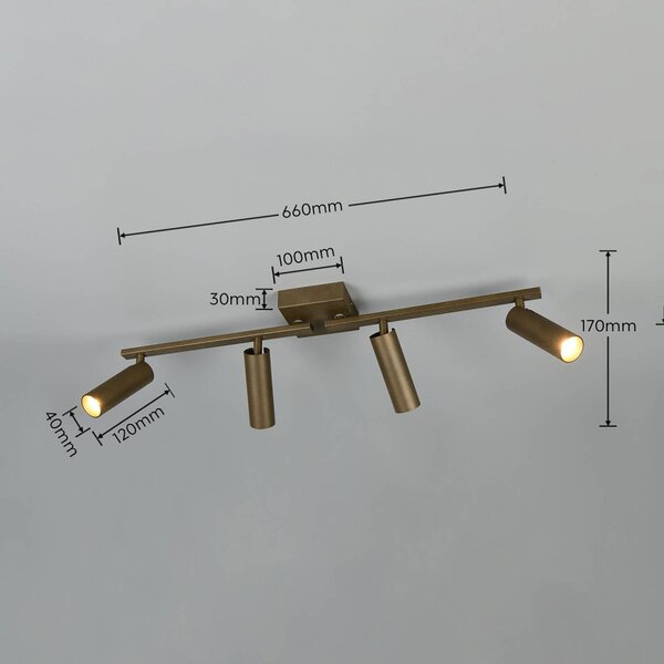 Trio Lighting Stropní bodové světlo Dara, délka 66 cm, platinově zbarvený kov, 4ramenný, Hliník / šedá / zinek, Obývací pokoj / jídelna, kov, Moderní